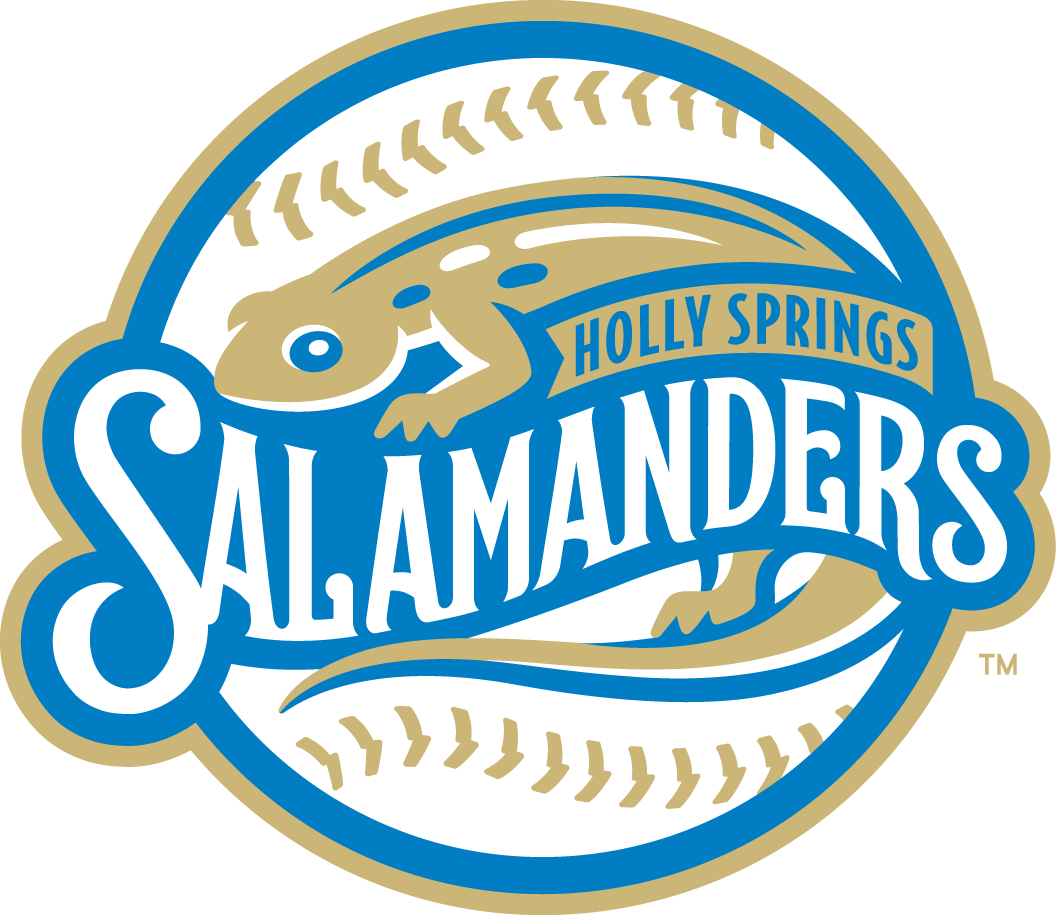 Holly Springs Salamanders 2015-Pres Primary Logo iron on heat transfer